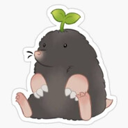 din-mole