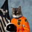 Catstronaut