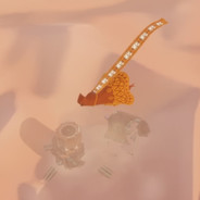 seki_albatross