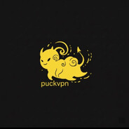 puckVPN