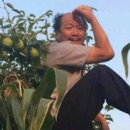 蹲在墙头等红杏