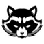 Moto_Raccoon