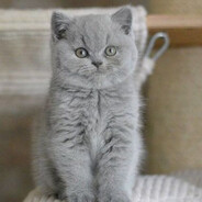 Pump - steam id 76561199017208636