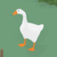 GooseSee
