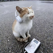 极其恶霸存在感