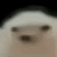 Bluugoo