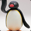 Pingu