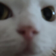 Sam0ky - steam id 76561199326454888