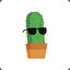 CactuSwag