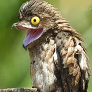 заза - steam id 76561199081311799