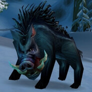 √Boar