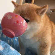 王守义今天就要看看你的十三香不香