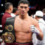 Bivol