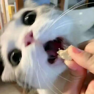 娃哈哈