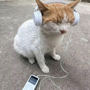 musicat
