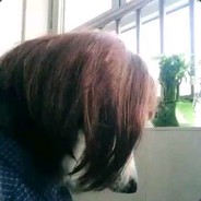 一只单纯的颜狗