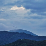 包子铺头号打手