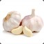 Garlic2