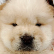 魏武遗风永流传