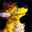 dhdingo