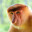 long, tan, and handsome's Avatar