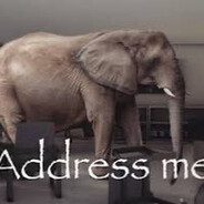 the elephant in the room