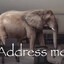 the elephant in the room