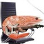 Rocker Shrimp's avatar