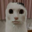 viljalaaaa