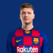 人类高质量队友