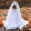 faltan 76 días para halloween