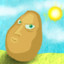 Sun Potato