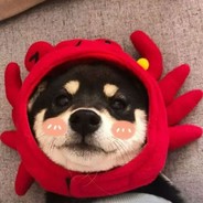 神经设计狮_Online