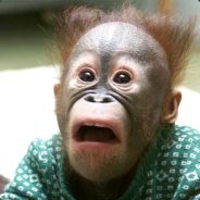 THUNDERNATO  lol - steam id 76561197961204087