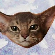 52岁还在用飞机杯