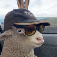 є√σ