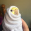Llama931