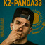 KZ-Panda33