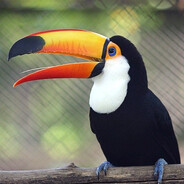 Крым наш 2014