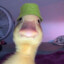 Mr Duck