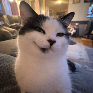 bentleyguy avatar