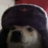 SovietDawg