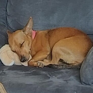 ☛♿S!mOv!c♿☚ [ K V ]