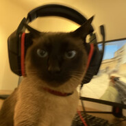 哈基米来给我一枪头