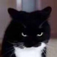 pablo l'assassino dei mandarini