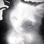 tac