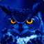 I&#039;m The Suicidal Owl