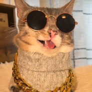 пресвятое лп