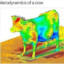 Areodynamic cow