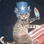 Freedom Cat